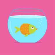 Orange fish in the aquarium Card