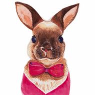 Bunny portrait