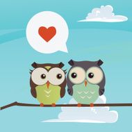 owl N28