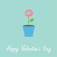 Rose in pot Happy Valentines Day card