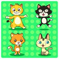 Funny cats N8