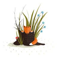 Little Fox Sitting in Forest behind the Stump