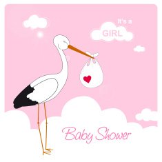 stork is carrying a baby girl
