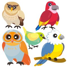 five birds on white background N7