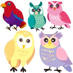 five birds on white background N8