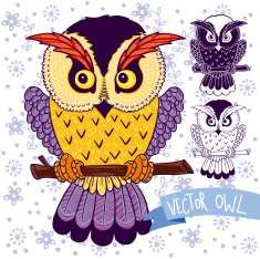 Cute vector owl N5
