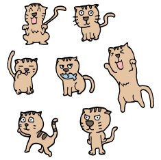 vector set of cat N3