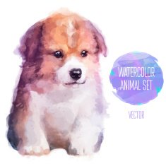 Vector dog hand painted watercolor illustration isolated on white background N2