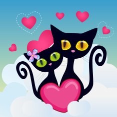 Lovers Cats N24