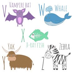 zoo alphabet in vector N5