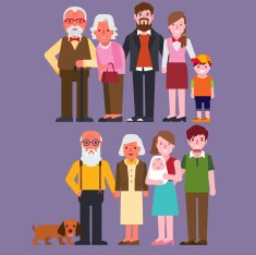 Family N264