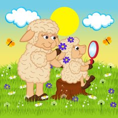 mother sheep adorns head daughter