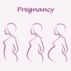 pregnancy illustration