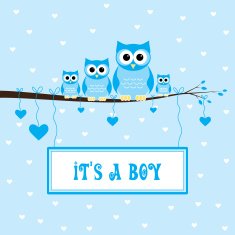 it's a boy N15