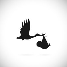 Stork and Baby Illustration N6