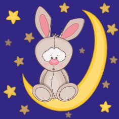 Rabbit on the moon
