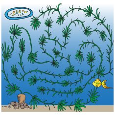 Little fishes maze for kids aquarium
