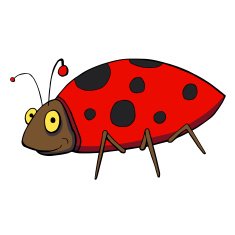 Cute ladybug cartoon Vector illustration