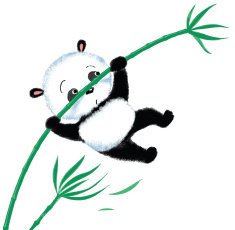 Jumping Panda on bamboo N3