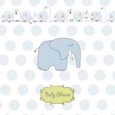 new baby boy announcement card N32