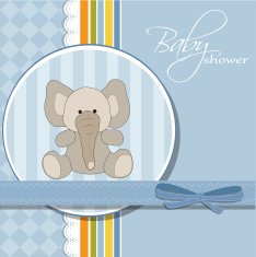 new baby boy announcement card N33