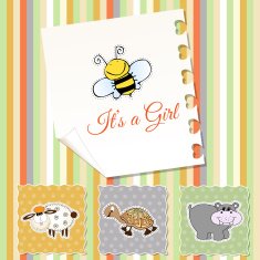 New baby girl shower invitation N5