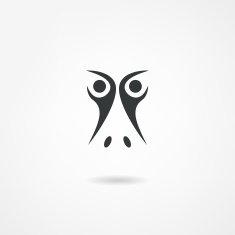 Duck Icon N13