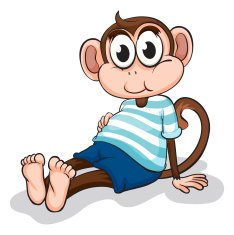 Monkey N21