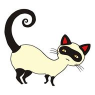 Cat isolated vector illustration