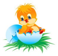 Newborn chicken