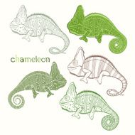 Set of chameleon isolated on white background N2