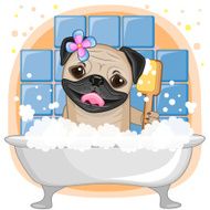 Cute Pug Dog