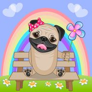 Pug Dog with flower