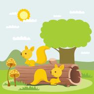 squirrel N5