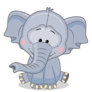 Elephant N28