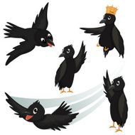 Crows Vector Illustrations