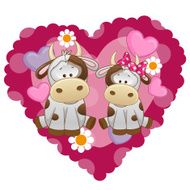 Two Cows N5
