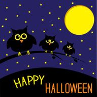 Three cute owls Starry night and moon Happy Halloween card