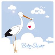 stork is carrying a baby boy