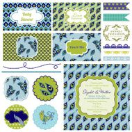 Vintage Peacock Party Set - for Decoration