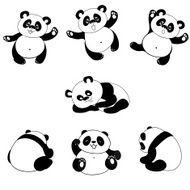 Cartoon panda bear at several positions