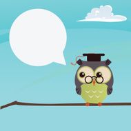 owl N29