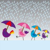Birds under the rain