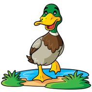 duck cartoon N6