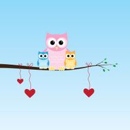 Owl Family N5