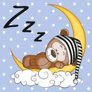 Sleeping Teddy Bear N3