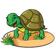 Turtle Cartoon N2