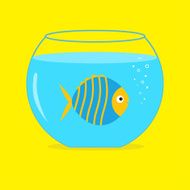 Blue fish in the aquarium Card
