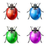 beetle vector icons