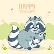 Raccoon N3